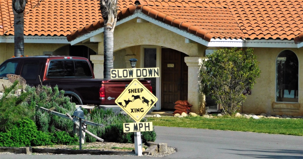 Walnut Acres Homes for Sale » SARA MEHRPOUYAN