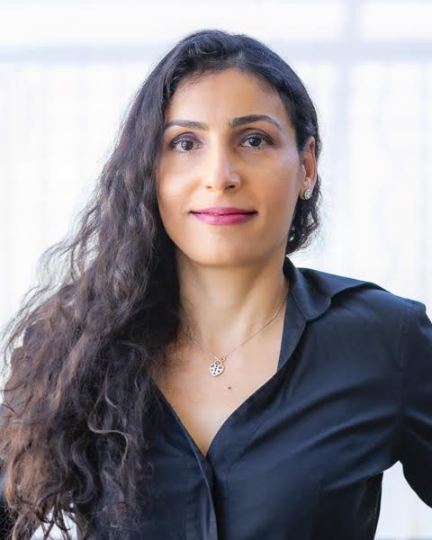 Sara Mehrpouyan Woodland Hills real estate agent